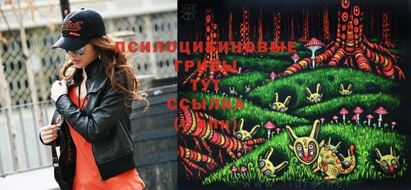 МДПВ Вязники