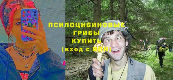 МДПВ Вязники